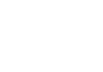 University of Florence