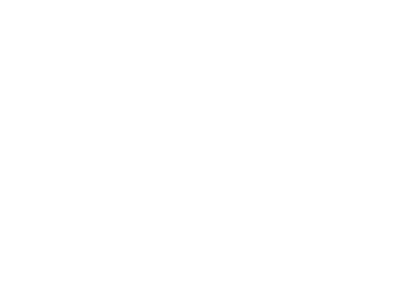 Metaheritage Srl